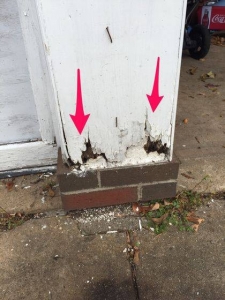 Rot and insect damage caused to garage from leaking gutters